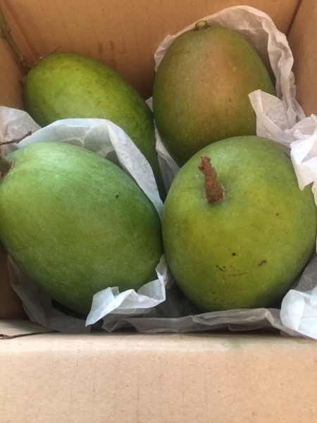 Giấy gói trái cây, hàng xuất khẩu - Giấy Ngành May Mặc Phú Thanh Vân - Công Ty TNHH Phú Thanh Vân